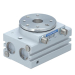 Piston type table type RAT